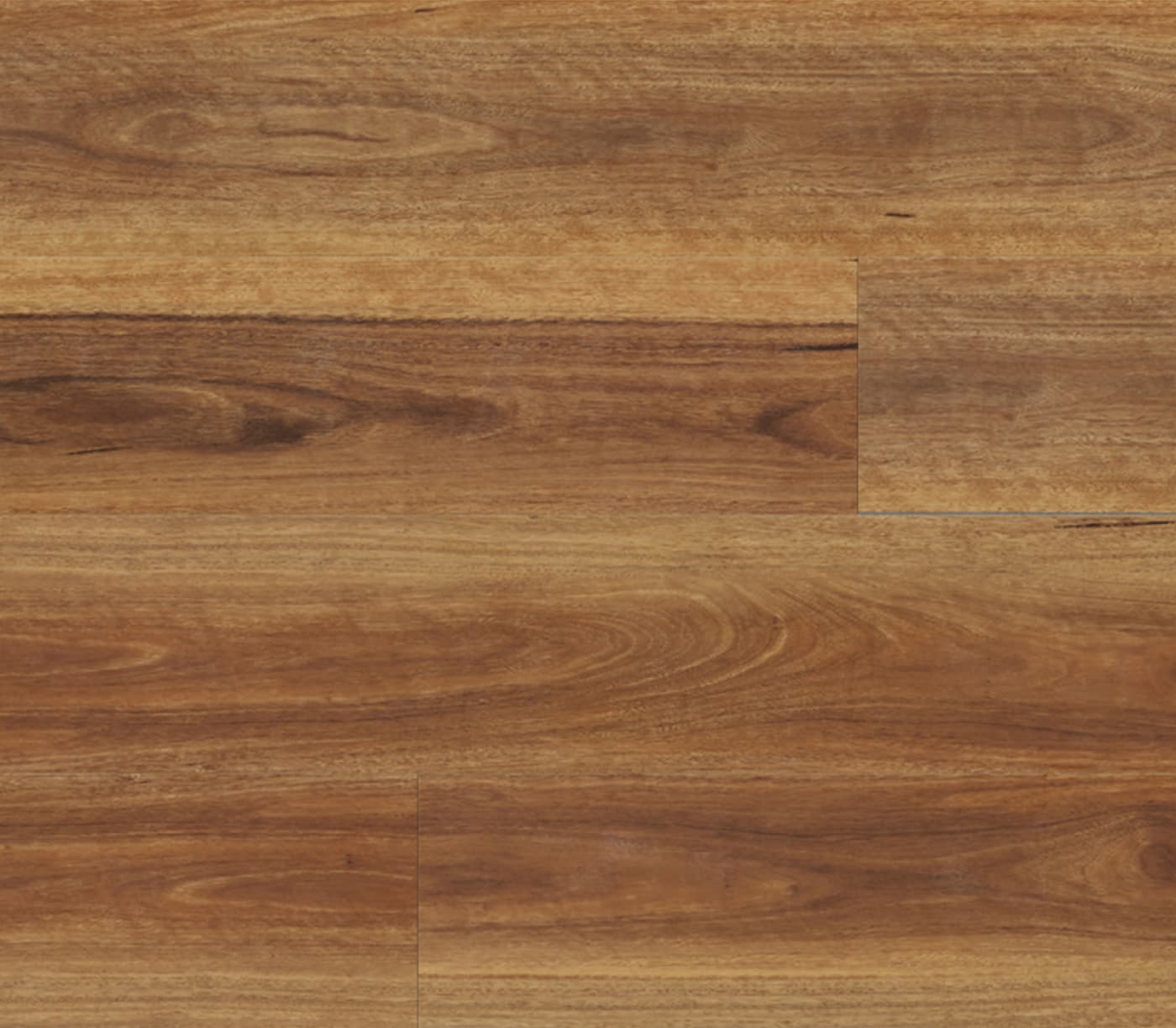Spotted Gum