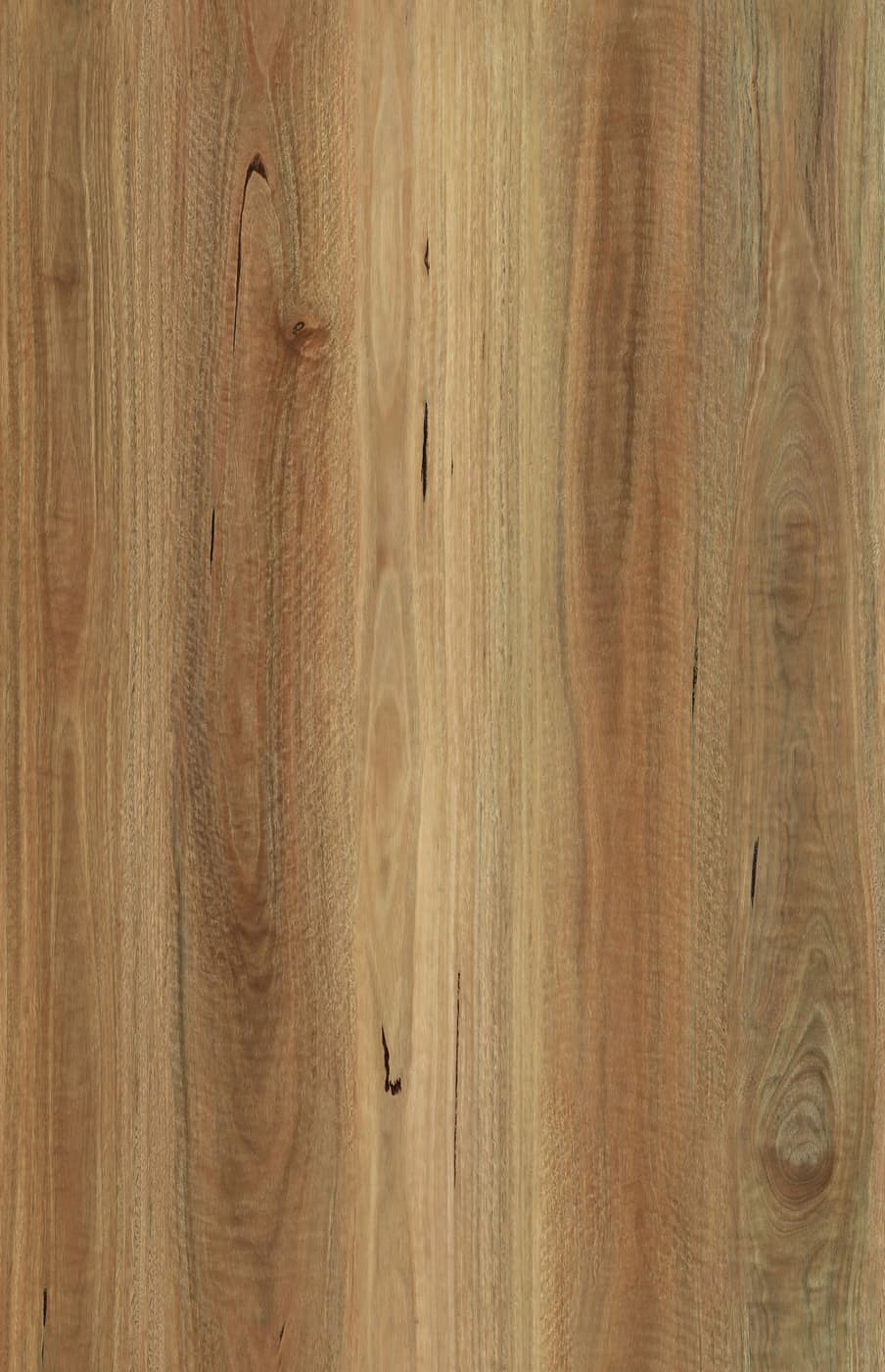 NSW Spotted Gum