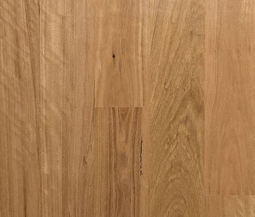 Select Australian Timber - Blackbutt - Engineered > Select Australian Timber Melbourne
