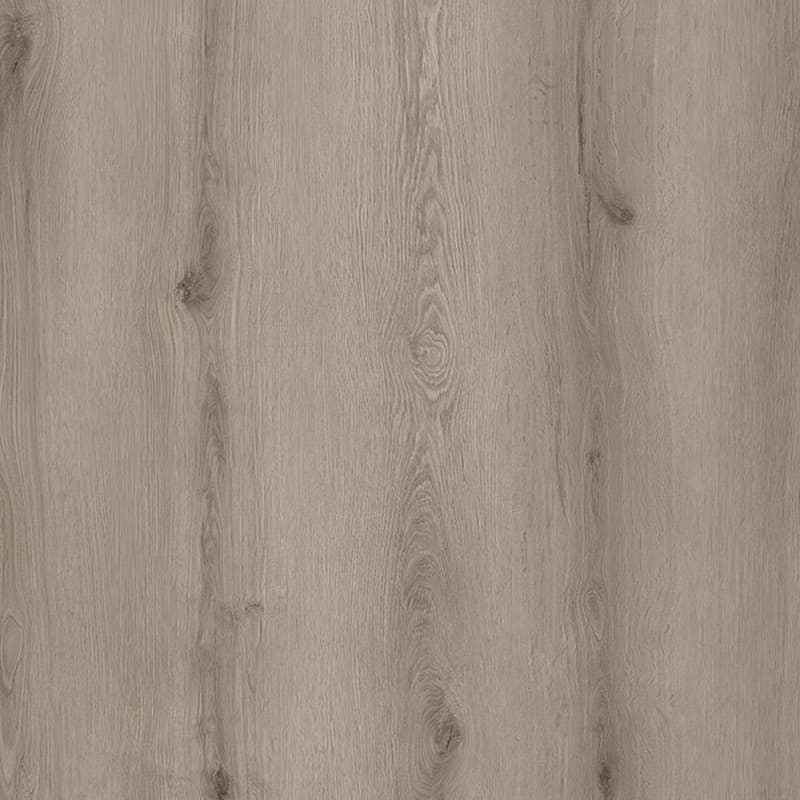 Mocha Java