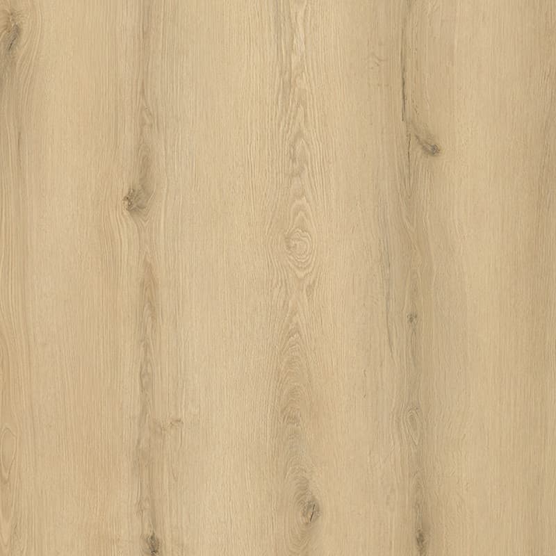 Seaside Oak