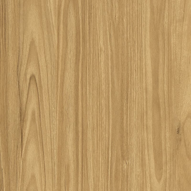 Blackbutt