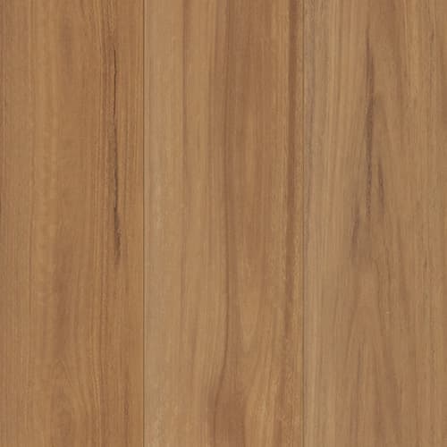 NSW Spotted Gum